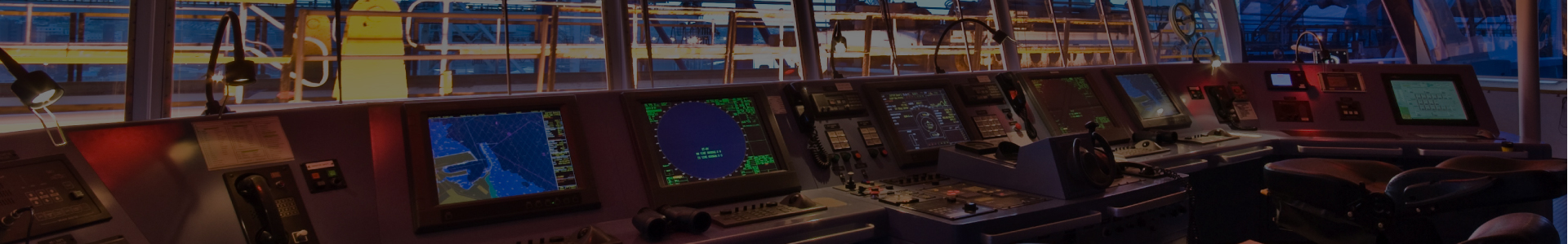 ����ips �������