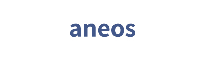 aneos(Nippon Electric Instrument)