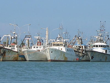 SIMRAD_Fish_Finding_05